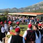 Photo Gallery: Grape Harvesting in Konavle 15 Grape Harvesting in Konavle 15