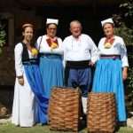 Photo Gallery: Grape Harvesting in Konavle 21 Grape Harvesting in Konavle 21
