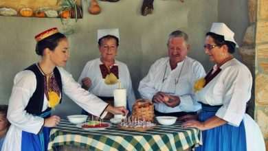 Photo Gallery: Grape Harvesting in Konavle 18 Grape Harvesting in Konavle Main