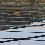 Video & Photo Gallery: Ston Wall Marathon 42 Ston Wall Marathon 53