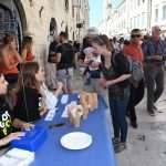 Video & Photo Gallery: Dubrovnik Table 50 Dubrovnik Table 50