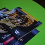 Good Food Festival: A Seven-Day Gourmet Delight 7 Good Food Festival 7