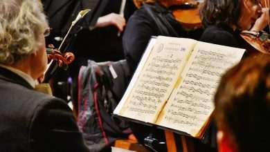 The Dubrovnik Symphony Orchestra Gets Into the Christmas Spirit 1 Orchestra on the Occasion of Dubrovnik Defenders Day Main