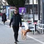 Uvala Lapad Sunny Sunday 10