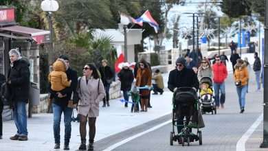 Uvala Lapad Sunny Sunday 31