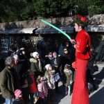 Uvala Lapad Sunny Sunday 5