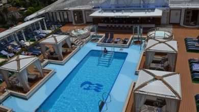 Corona Virus Pandemic: Princess Cruises to Suspend Operations for 60 Days 3 regal princess 13