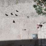 Photo Gallery: Just an Ordinary Day in Dubrovnik 28 Just an Ordinary Day 28