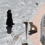 Photo Gallery: Just an Ordinary Day in Dubrovnik 9 Just an Ordinary Day 9