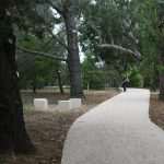 Photo Gallery: On the First Boat to Lokrum Island 15 Lokrum Corona 15