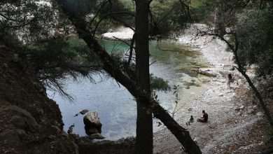 Photo Gallery: On the First Boat to Lokrum Island 2 Lokrum May 2020 6