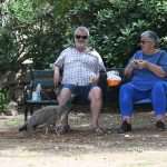 Photo Gallery: On the First Boat to Lokrum Island 31 Lokrum May 2020 8