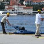 Repatriation Carnival Magic 7