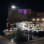 Photo Gallery: The 71 st Dubrovnik Summer Festival Opening Ceremony 2 Photo Gallery The 71 st Dubrovnik Summer Festival Opening Ceremony 2