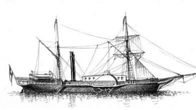 On This Day: 176 Years Ago First Cruise Ship ‘Barone Stuermer’ Sails Into Gruž Port 2 Barone Suermer