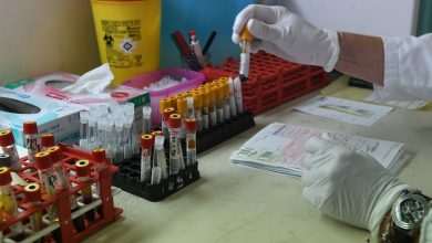 Croatia Records 334 New COVID-19 Cases in the Last 24 Hours, 28 Being in Dubrovnik-Neretva County 9 Covid