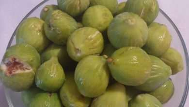 Figs