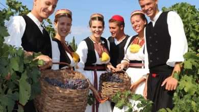 “Trganje” Manifestation Officially Opens the Grape Harvesting Season in Konavle 10 Trganje