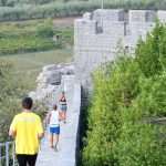 Ston Wall Marathon: Luka Đurović and Željko Cota First in the Race For a Noble Cause 14 ston walls marathon27