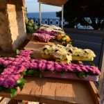 Beautifully Illuminated Boninovo for the Ones no Longer With Us 4 All Saints Day