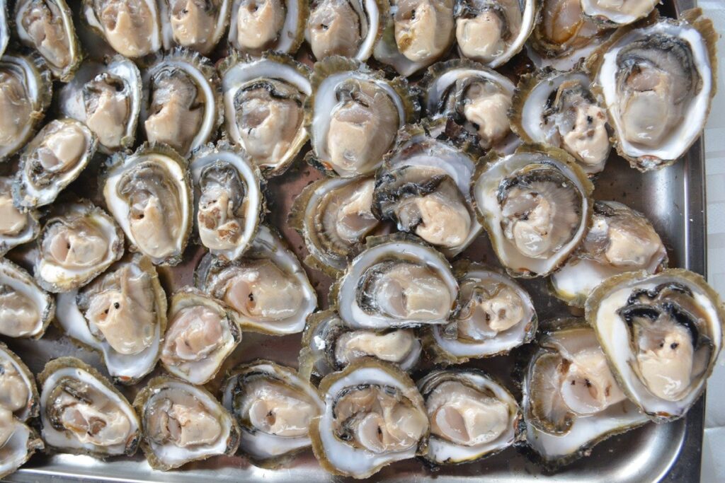 GREAT NEWS! The ‘Mali Ston oyster’ receives the European protected designation of origin 1 Mali Ston Oyster