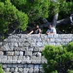 Pedro Pascal ‘The Unbearable Weight of Massive Talent’