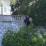 Pedro Pascal ‘The Unbearable Weight of Massive Talent’