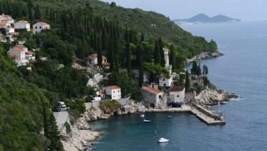 Nicolas Cage ‘The Unbearable Weight of Massive Talent’