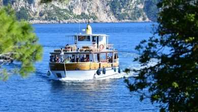 Although November, Our Sunny Lokrum Gallery Still Screams Summer 1 Lokrum