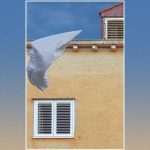 PHOTOGRAPHER VJEKOSLAV BENIĆ From Abstract Chaos to Solid Simplicity 28 Vjekoslav Benic Photography 5