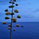 Stunning Even Between the Raindrops 4 Dubrovnik 2