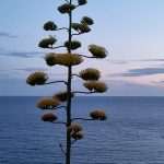 Stunning Even Between the Raindrops 5 Dubrovnik 6