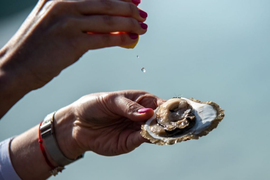 MALI STON OYSTER Meet & Taste our Queen of Oysters 2 mali ston oyster 5