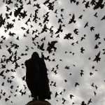 Is There a More Endearing Scene in the City? Little Gundulić Pidgeons Are Ready For Lunch 2 pidgeons gundulic square 1