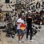 Is There a More Endearing Scene in the City? Little Gundulić Pidgeons Are Ready For Lunch 3 pidgeons gundulic square 2