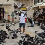 Is There a More Endearing Scene in the City? Little Gundulić Pidgeons Are Ready For Lunch 7 pidgeons gundulic square 3