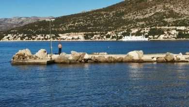 Unusually High Temperatures Allured the Bravest of Swimmers 28 swimming new year 1