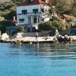 swimming new year 10