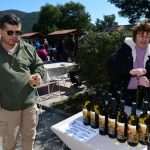 The Day of the Mali Ston Oyster: A Long-Awaited Pleasure For All Senses 25 mali ston oyster 24