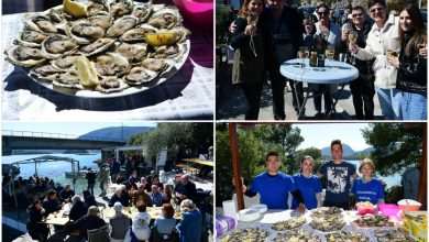 The Day of the Mali Ston Oyster: A Long-Awaited Pleasure For All Senses 1 mali ston oyster