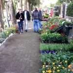 Flower Fair Market 1