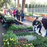 Flower Fair Market 13