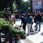 Flower Fair Market 14