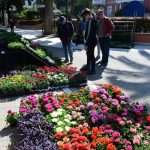 Flower Fair Market 17