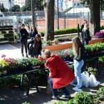 Flower Fair Market 2