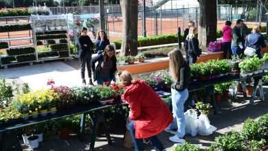 Flower Fair Market 2