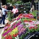 Flower Fair Market 20