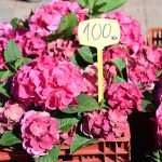 Flower Fair Market 21