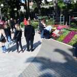 Flower Fair Market 23