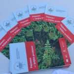 Flower Fair Market 6